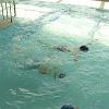 juz_plyw_2011 _15
